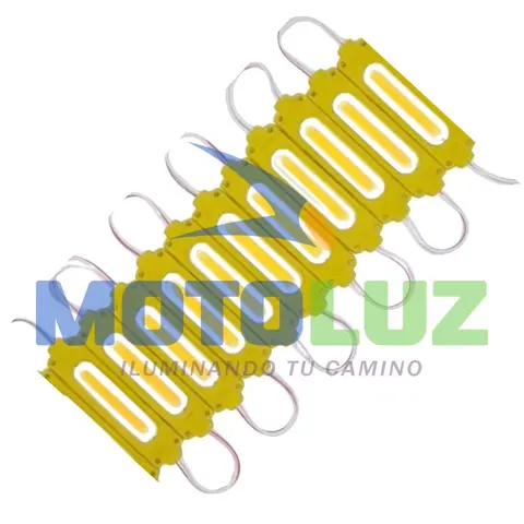 MÓDULO COB