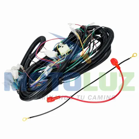 RAMAL ELECTRICO