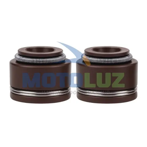 PAR RETENES DE VALVULAS C100/110 MARRON